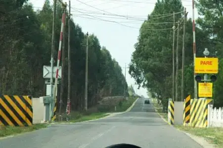 Imagem da pergunta 7