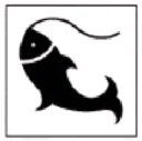 Sinal 8: Pesca desportiva