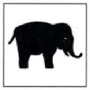Sinal 11: Zoo